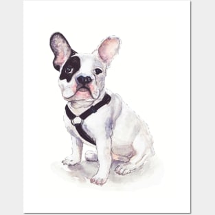 Humphrey the Frenchie Posters and Art